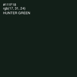 #111F18 - Hunter Green Color Image